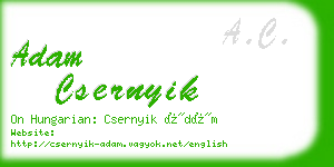 adam csernyik business card
